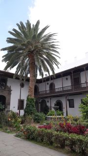 2022-03-GranCan-Las_Palmas-Santa_Ana--Doramas-PM-NN-009.JPG